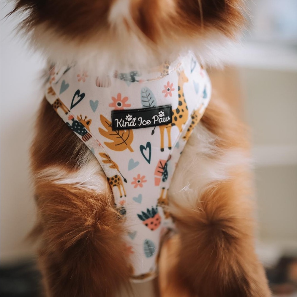 CLEARANCE! Brand New adjustable Dog Harness - Collection Safari Pup